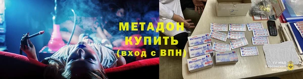 прущие грибы Армянск