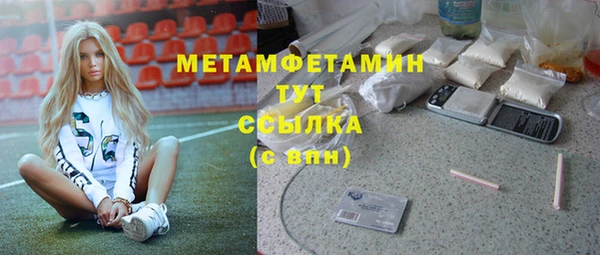 прущие грибы Армянск