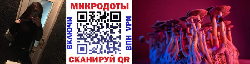 Псилоцибиновые грибы Psilocybe  OMG онион  маркетплейс Telegram  Белокуриха 