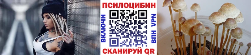 Галлюциногенные грибы прущие грибы Белокуриха